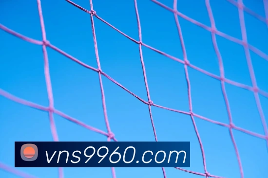 威尼斯人官网APP 高清赛事图